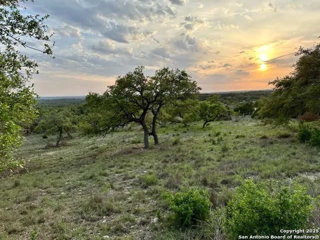 1074 Madrone Road Fischer, TX 78623